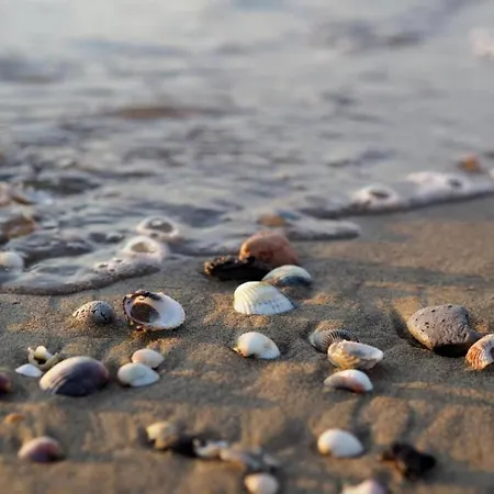 Amazing In Caorle Near Seabeach